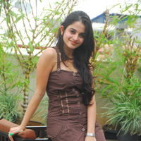 Actress Sheena Shahabadi latest Photos | Picture 46677
